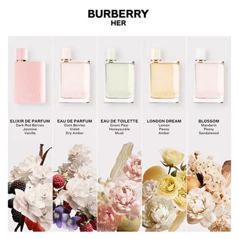 burberry for women 50 ml|burberry her perfume boots.